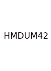 How Many Days Until March 4 2025